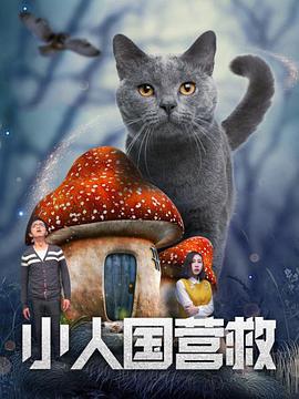 视频一区二区中文字幕