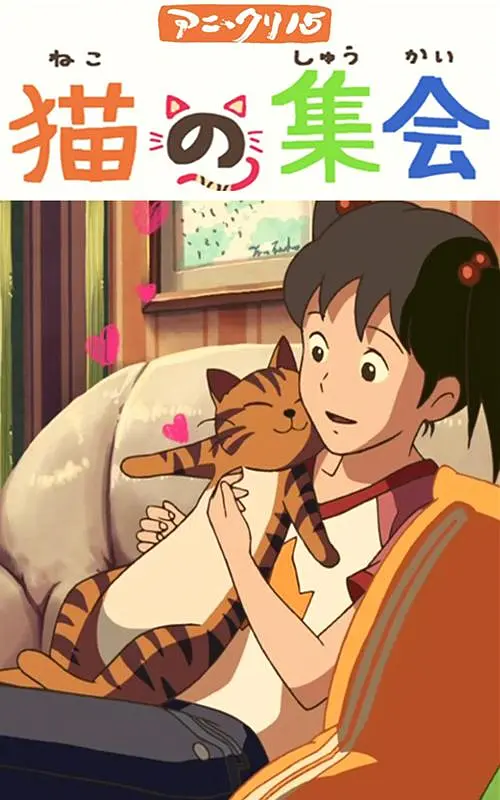 婷婷看片