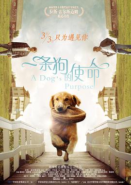 日韩精品麻豆