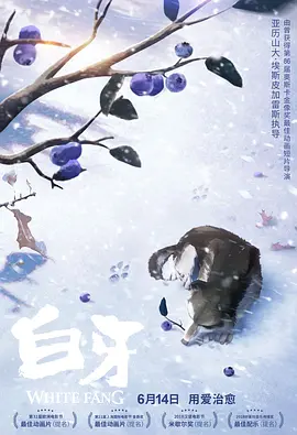 国产精品亚洲一区二区三区在线观看
