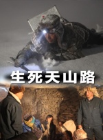久久久亚洲精品视频