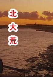 久久伊人精品综合观看99