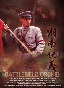 国产亚洲精品hd网站