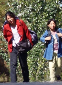 国产一区在线免费观看