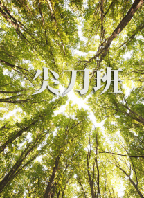 精品久久亚洲一级α