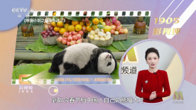 欧美成人生活片